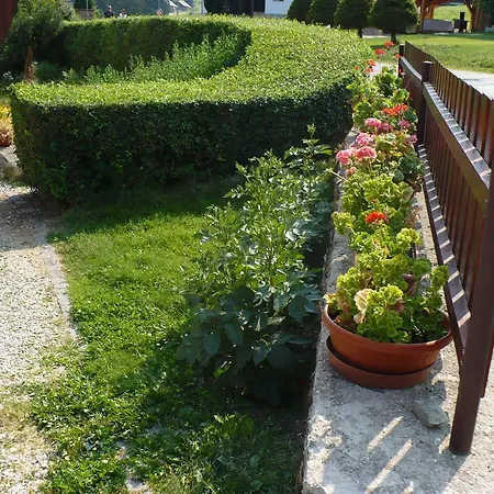 Zmatlíková Pec pod Snezkou